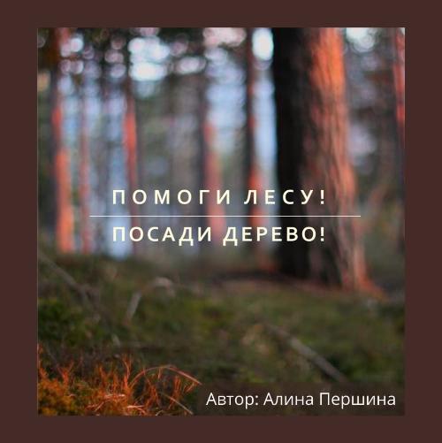 Студентки Губернаторского колледжа стали призерами эколого-социального конкурса